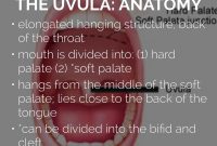 Two uvulas - a photo on Flickriver What To Know About Wearable Health Technology